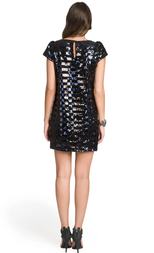 Milly Sienna Sequin Stripe Dress Size 8