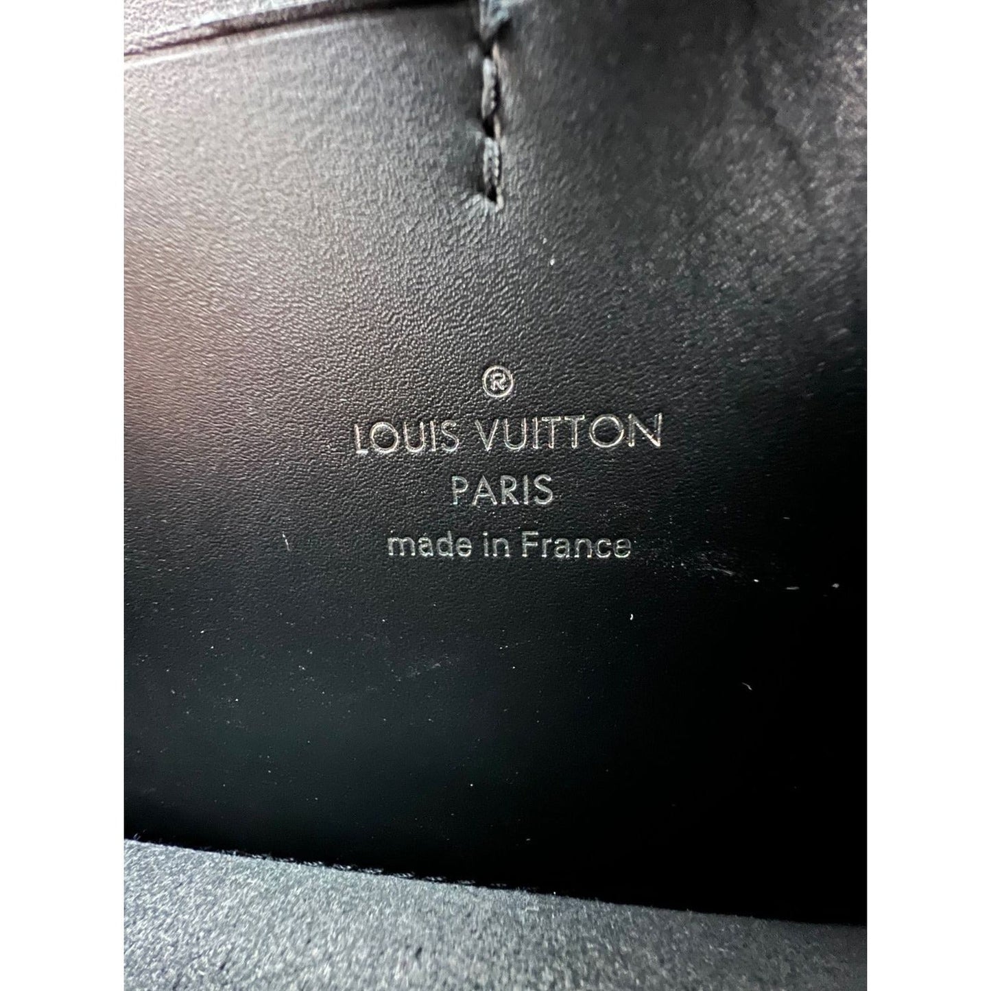 LOUIS VUITTON Reverse Giant Monogram Dauphine Belt Bumbag Clutch
