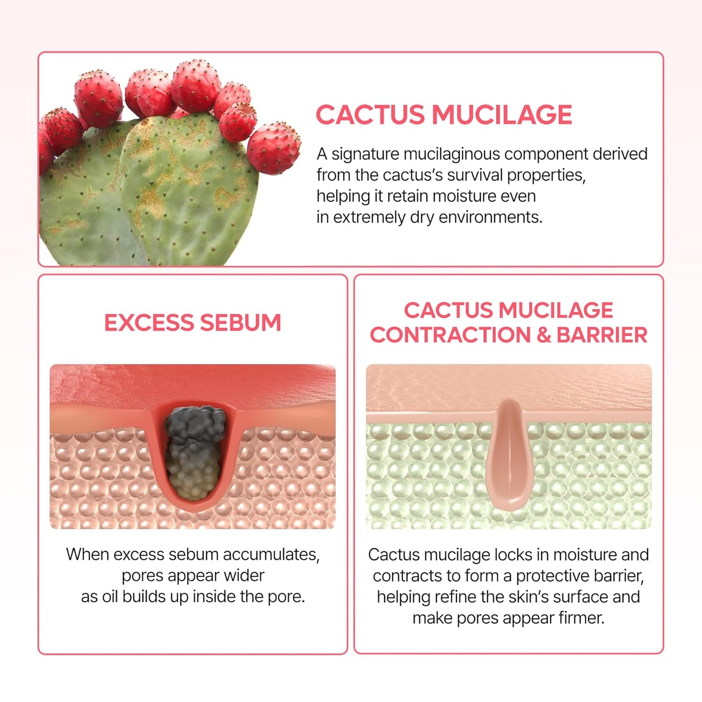 Dr.Melaxin CACTOX Pore Relief Dual Capsule Cream